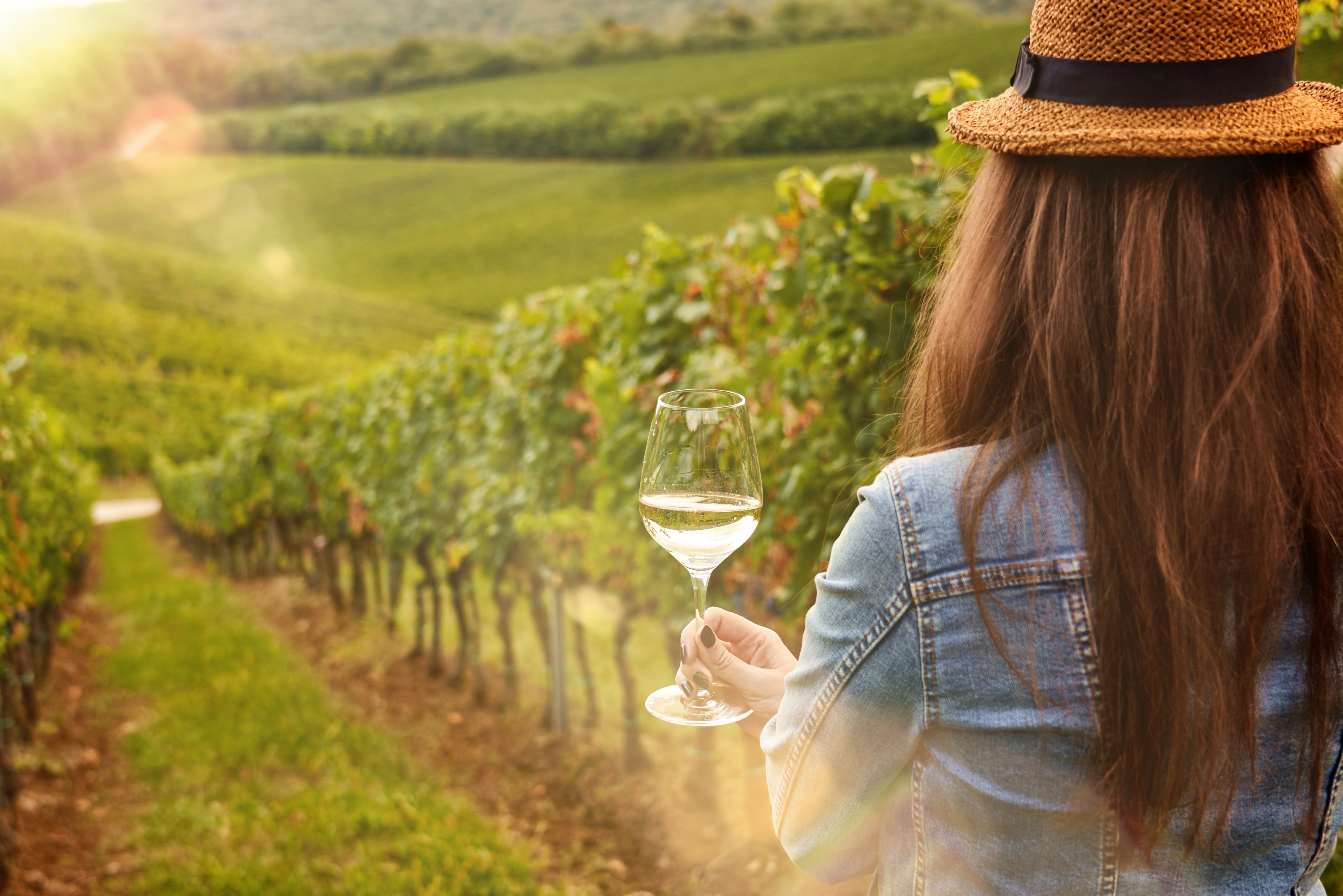 Italian food and wine experience